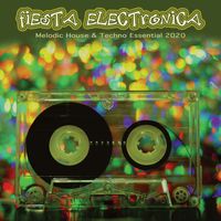 Fiesta electronica